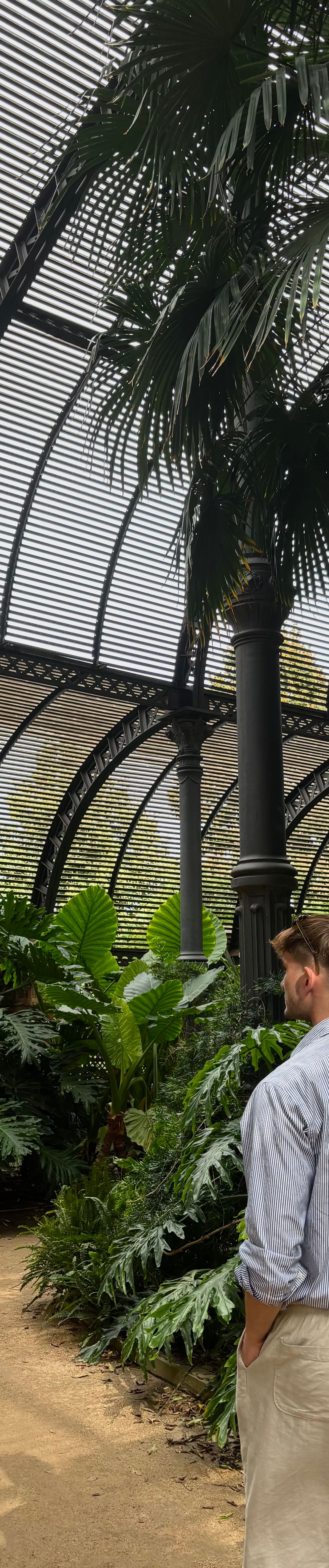 Raphael, Model aus München