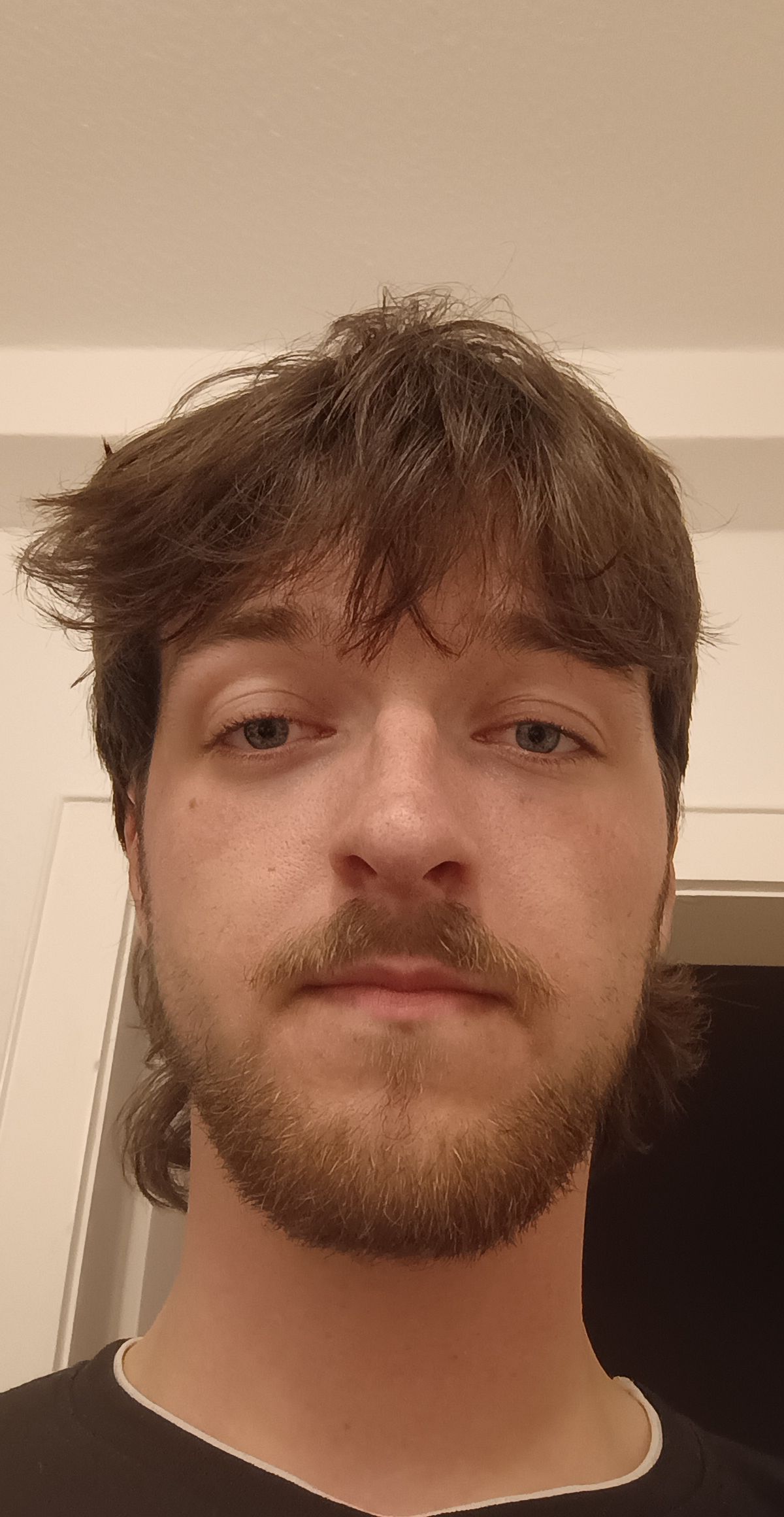 Leo, Model aus Bremen